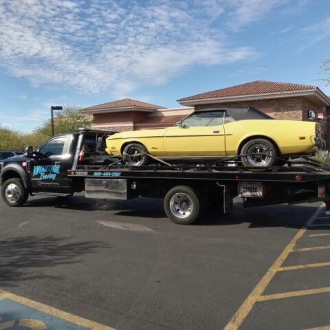 The Difference Between a Sports Car and a Regular Commuter