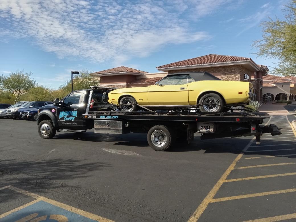 The Difference Between a Sports Car and a Regular Commuter